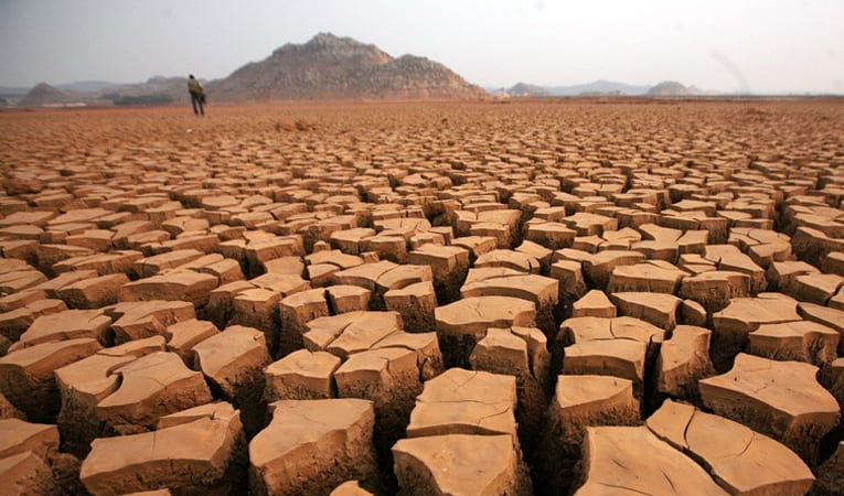 2050 için korkutan uyarı